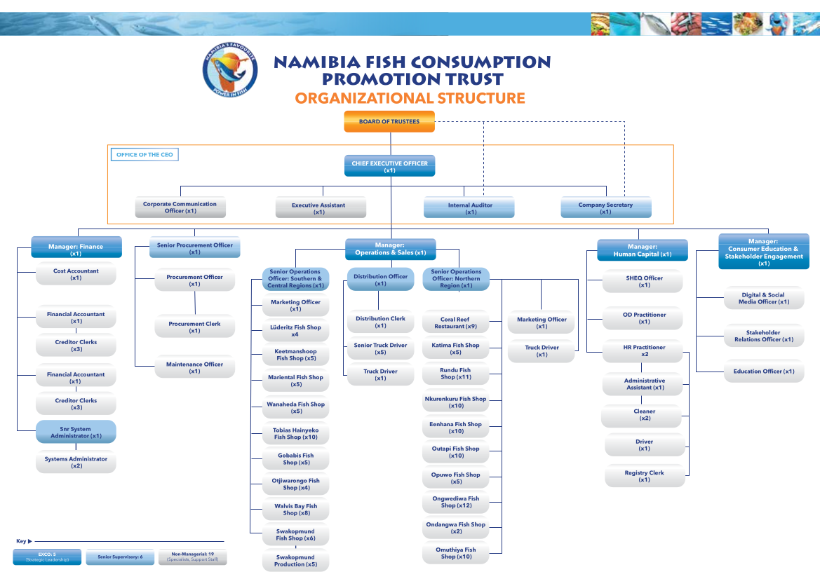 NFCPT Organizational Chart